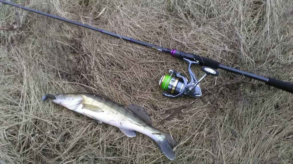 Ловля судака ранней весной в реке (3).jpg